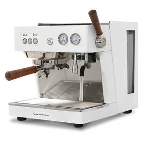 Ascaso Baby T Zero - Coffee Gear